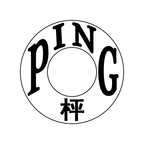 PINGlogo设计