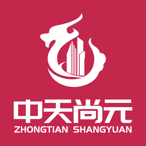 中天尚元logo设计