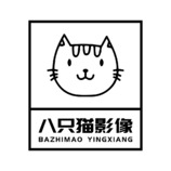 八只猫影像