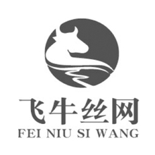 飞牛丝网