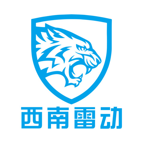 西南雷动logo设计