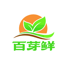 白芽鲜