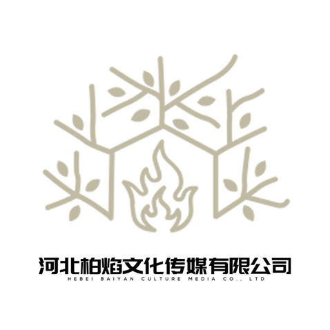 河北柏焰文化传媒有限公司logo设计