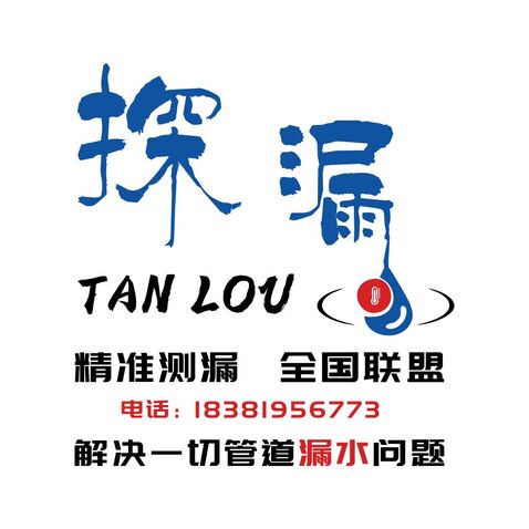 探漏logo设计