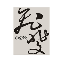 飞斐
