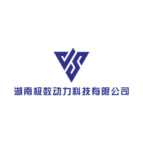 湖南极数动力科技有限公司logo设计