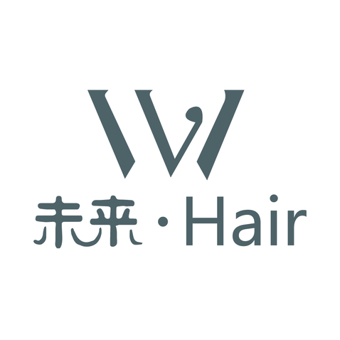 未來·Hairlogo設計