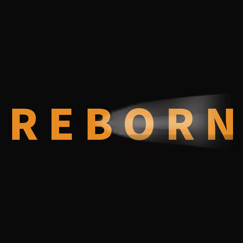 REBORNlogo设计