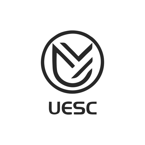 UESClogo设计