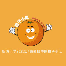 橘子小队 班旗