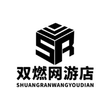 双燃网游店