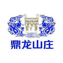 鼎龙山庄