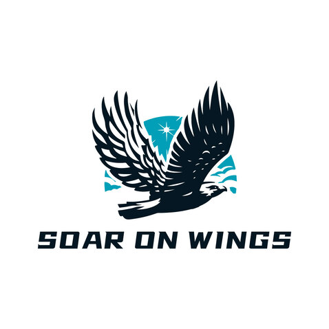 SOAR ON WINGSlogo设计