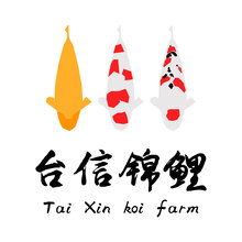 台信锦鲤