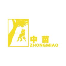 中苗
