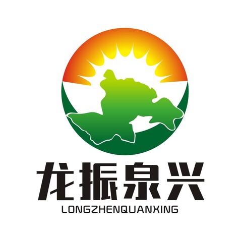 龙振泉兴logo设计