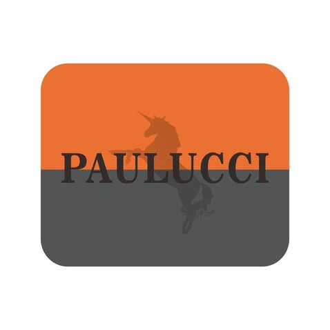 pauluccilogo设计