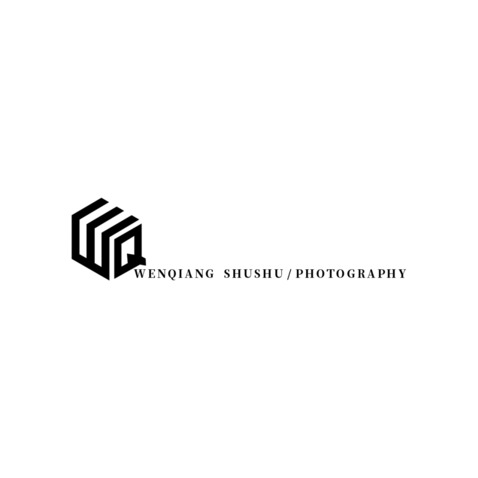 WENQIANG SHUSHU/PHOTOGRAPHYlogo设计