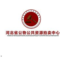河北省公物公共资源拍卖中心
