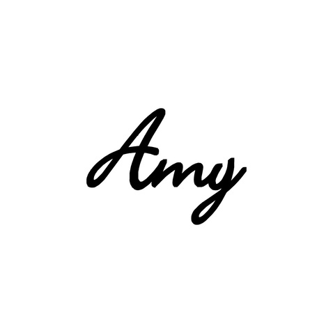 AMYlogo设计