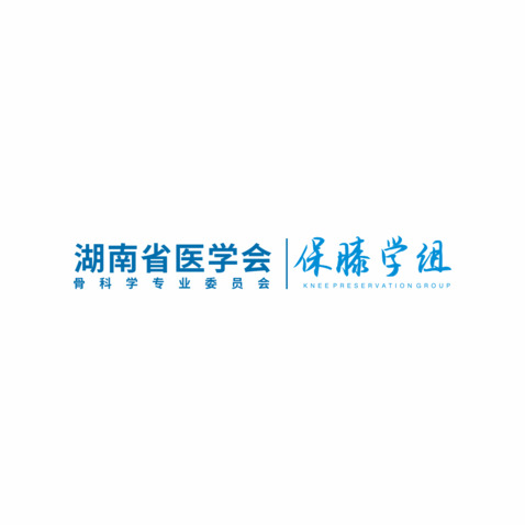 湖南省医学会logo设计