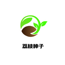 荔枝种子