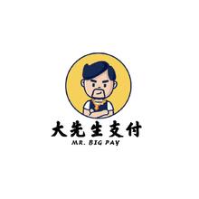 大先生支付