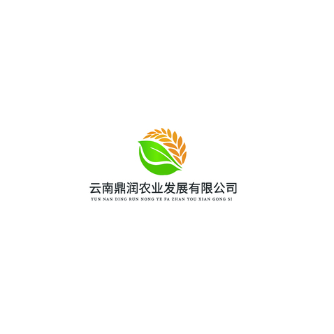 云南鼎logo设计