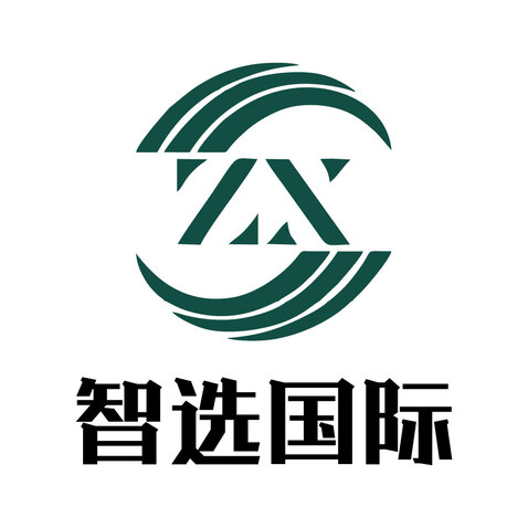 智選國(guó)際logo設(shè)計(jì)