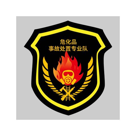 危化品事故处置专业队logo设计