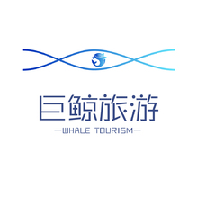 巨鲸旅游背景墙