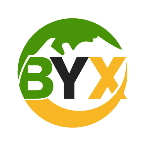 BAIYEXINlogo设计