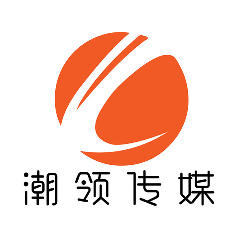 山东潮领文化传媒有限公司logo设计