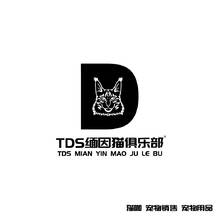 TDS缅因猫俱乐部