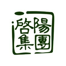 启阳集团