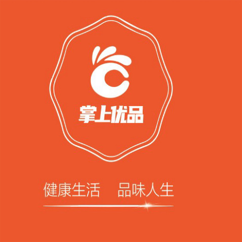 掌上优品logo设计