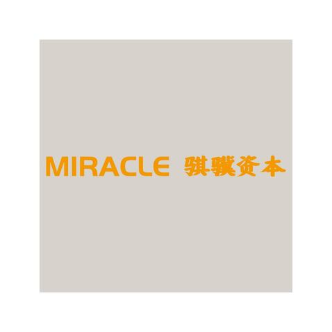 骐骥资本 MIRACLElogo设计