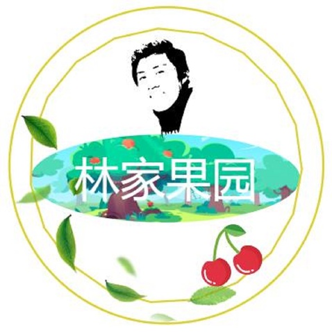 林家果园logo设计