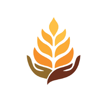 麦穗