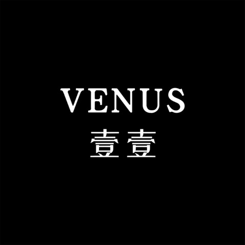 VENUS 壹壹logo设计