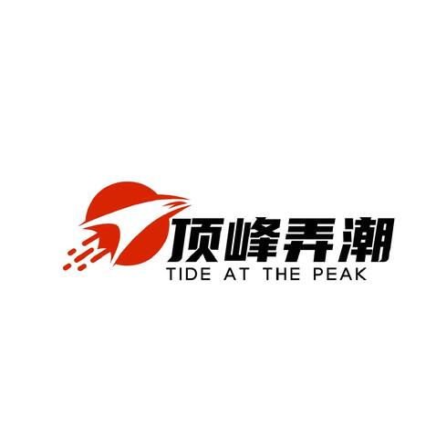 顶峰弄潮logo设计