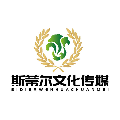 斯蒂尔文化传媒logo设计