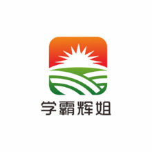 学霸辉姐