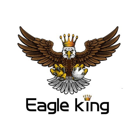 Eagle kinglogo设计