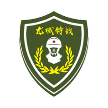 龙城特战 1