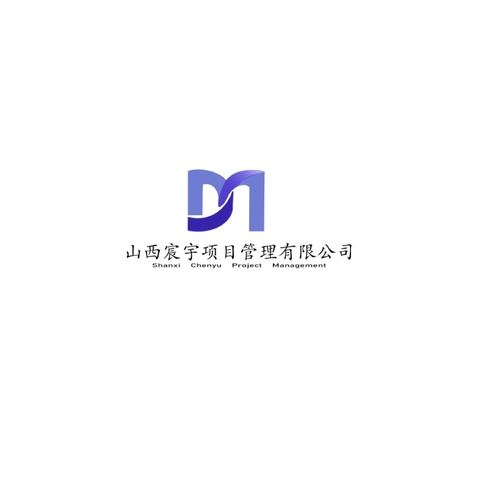 山西宸宇项目管理有限公司logo设计