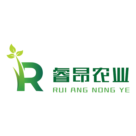 睿昂logo设计