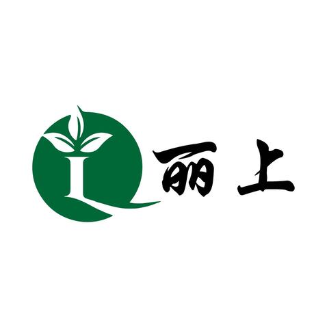 丽上logo设计