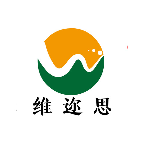 维迩思logo设计