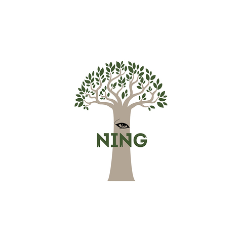 名称是ninglogo设计